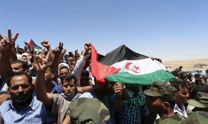 Alicante se mobilise pour les camps de réfugiés sahraouis
